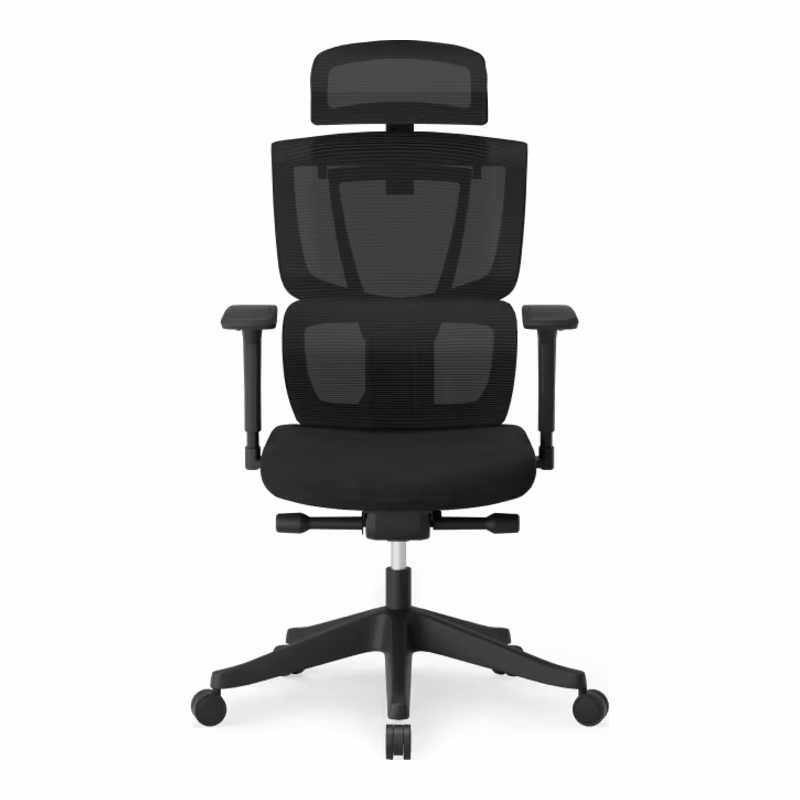Silla ergonómica FlexiSpot C7 Lite